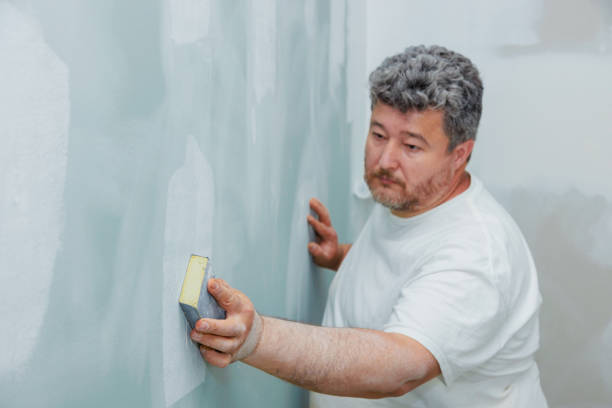 Best Water-Damaged Drywall Repair  in Pleasant Grove, OH